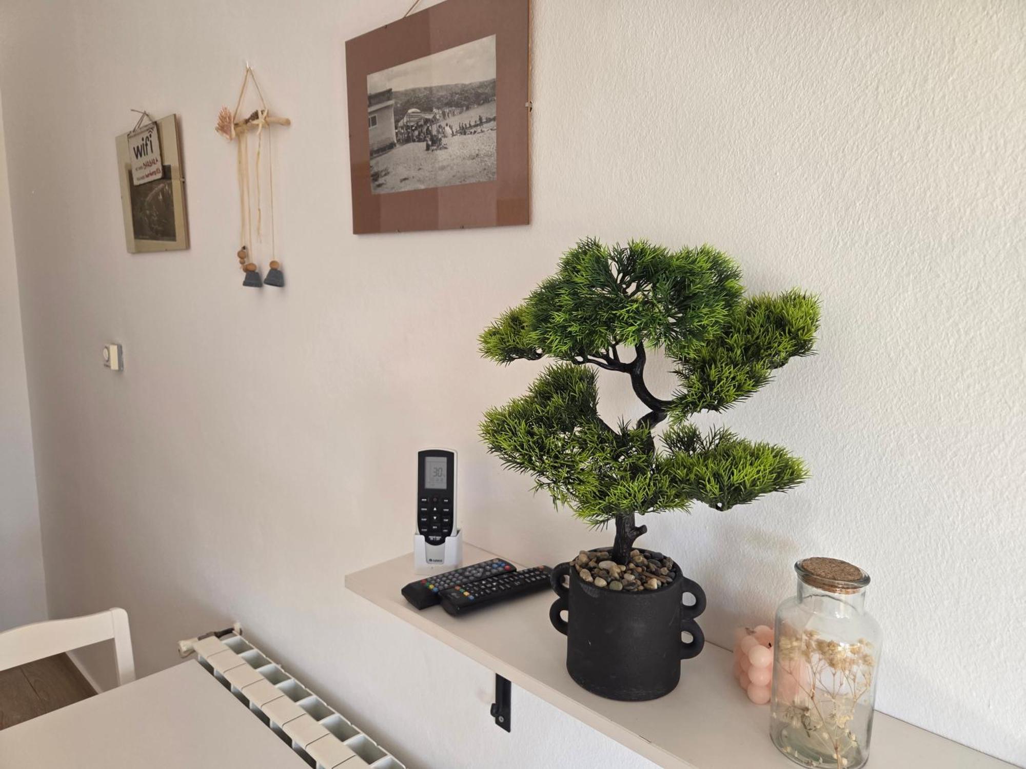 Apartments Leticia باشْكا المظهر الخارجي الصورة